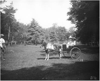 Margaret Wickliffe Preston (1885-1964) and unidentified girl in a pony-drawn buggy