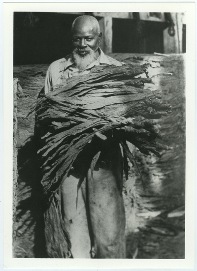 Unidentified African American male holding tobacco