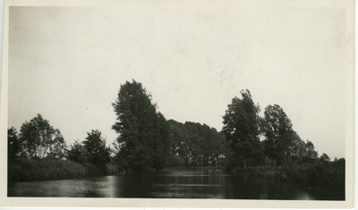 Trees and water.  Berlin vicinity Spreewald.  