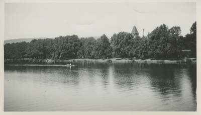 Water, trees along the shore.   