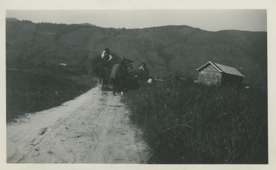 Horse pulling wagon.  