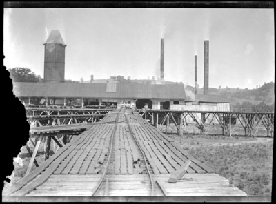 Feeder equipment to table saw at lumber mill