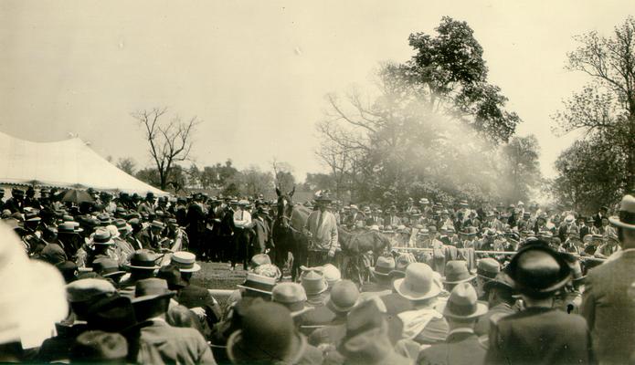 Dona Rose: $40,000 [forty thousand dollars], G.B.K. Belmont Sales, Envelope: Photos taken by Judge G.B. Kinkead of the August Belmont Nursery Stud Sale: May 15, 1925