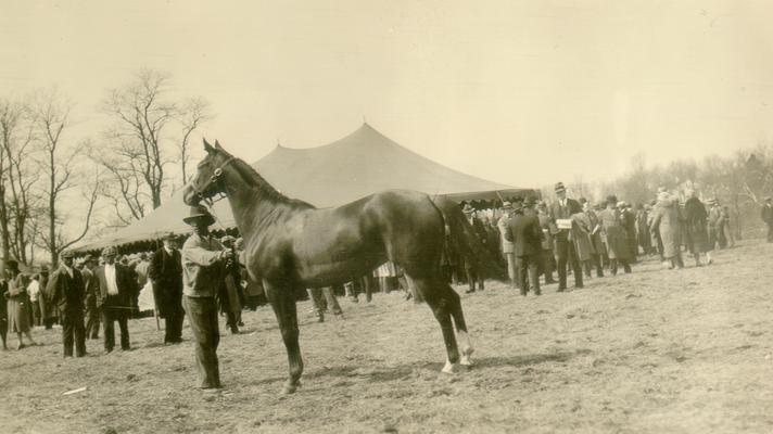 Feathers, G.B.K. A note about the sale is also on film. On information sheet: Epinard and War feathers pics made at James Cox Brady's sale. The sale was at Dixiana but the Brady farm was called Hamilton Farm. akb 10-8-62. Nursery sale acc't