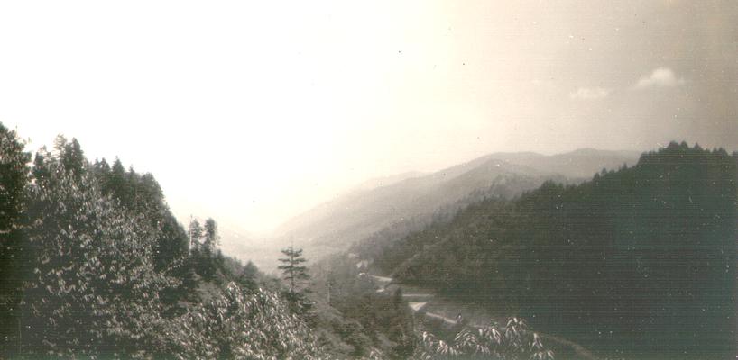 In New Found Gap; Great Smoky Mountains, NC