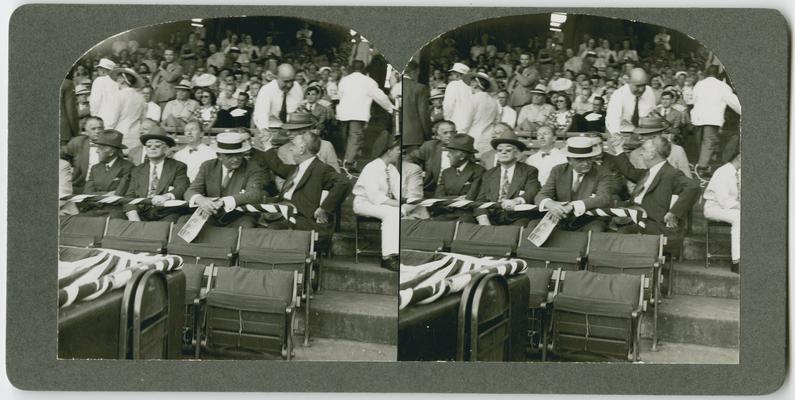 Lowell Mason's Annual Baseball Outing, 30 stereographic cards