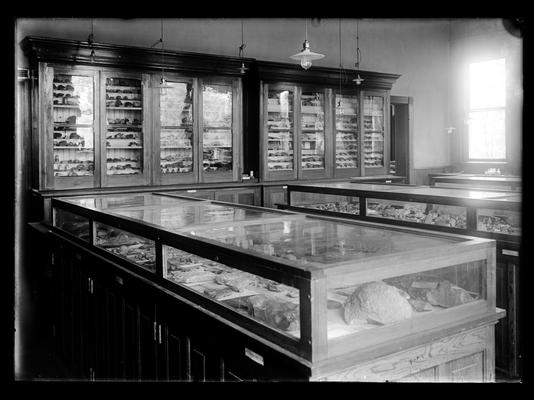 Geological display cases