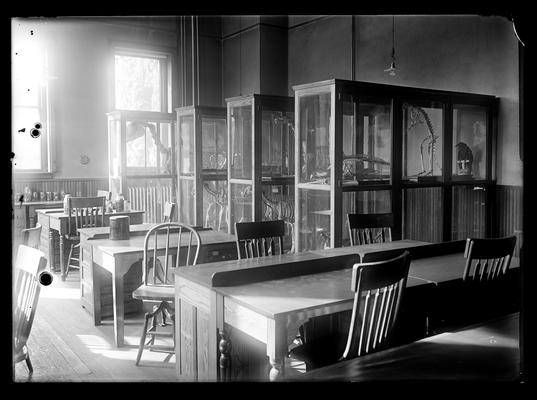 Zoology laboratory, specimens and tables