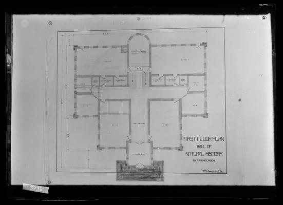 Copy of architect's drawing, Miller Hall, notation First floor plan Hall of Natural History by FP Anderson, T.S. Hamilton, Del