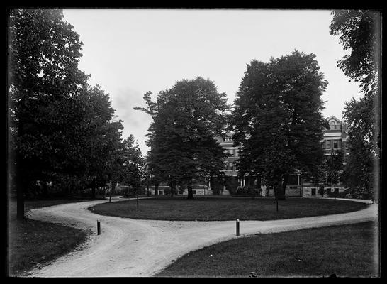 Yard at Patterson Hall