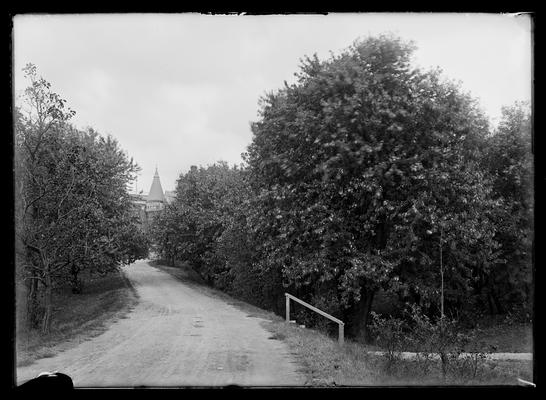 Driveway on campus