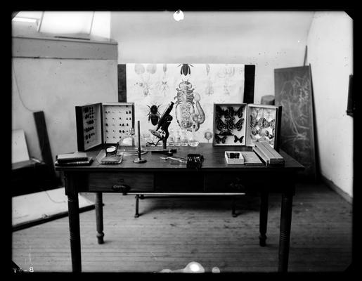 Laboratory table with specimens for stud mount