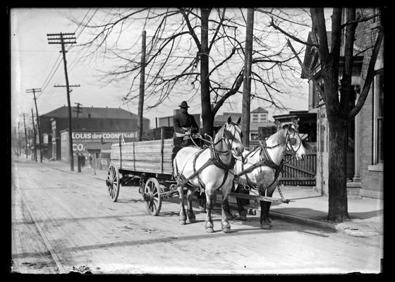 Horse drawn load of lumber