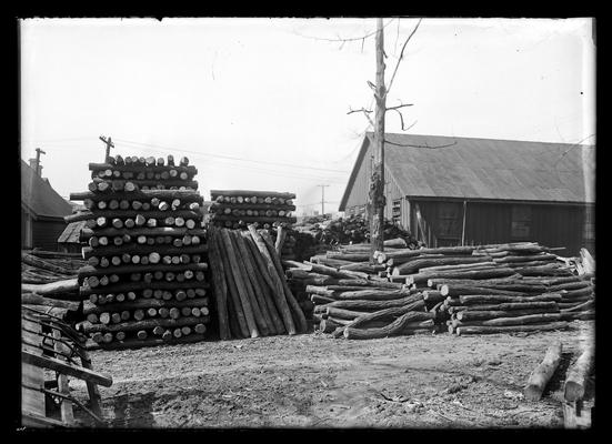 Cut timber on lot