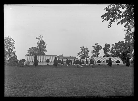 Elmendorf greenhouses at distance