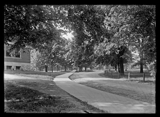 Main drive near Education Building (Frazee)