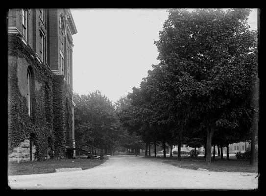 Campus view looking up avenue, Administration Building (Main Building) to left