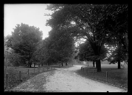 Entrance driveway