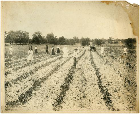 Faulconer students and Nannie Faulconer working in the school garden. Handwritten on verso, School garden at Faulconer School under Mrs. Ella Ford, Principle