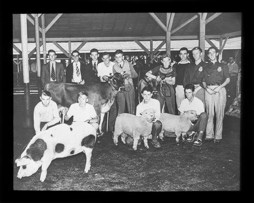 Fayette County Future Farmers of America (F.F.A.) and prize-winning animals at the 1940 Kentucky State Fair