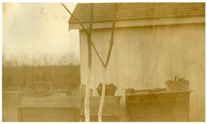 Baskets of fruits and vegetables used for cooking school lunches. Handwritten on verso, Collection of material for soup and cooking at Maddoxtown Colored school on Potato and Onion day. This school has two rooms and a kitchen. The school is six miles in the country at Maddoxtown, Fayette County, Kentucky. This is said to be the best equipped rural school in the south. (Four copies)