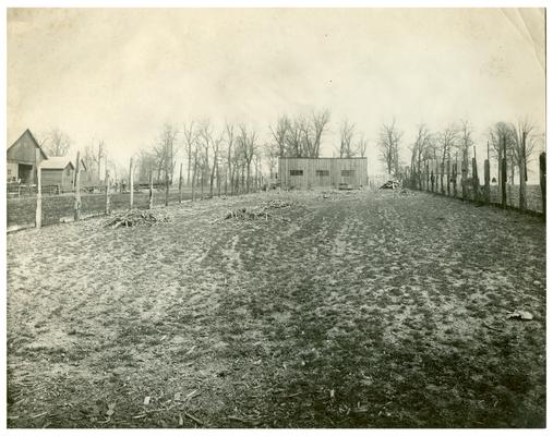 The Picadome school garden. Handwritten on verso, Picadome School garden. Ground donated by Dr. Sprague. (Five copies)