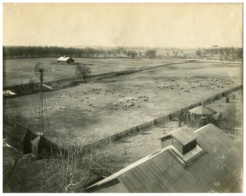 Image of the sheepfold used in the Bluegrass Child poster. Handwritten on verso, John Madden's Sheepfold. (Three copies)