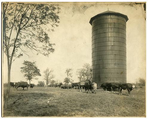 Image on farm silo used in the Bluegrass Child poster