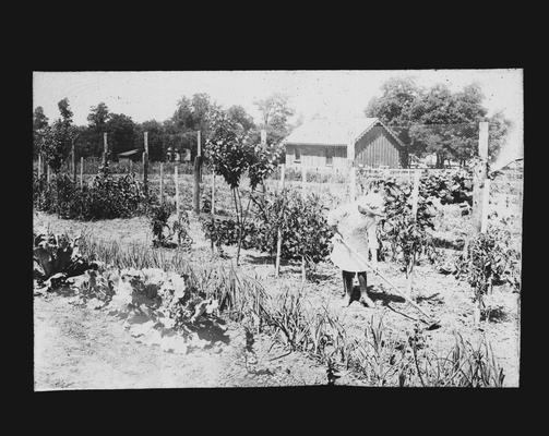 Female student hoeing the garden