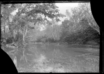 Water and trees 