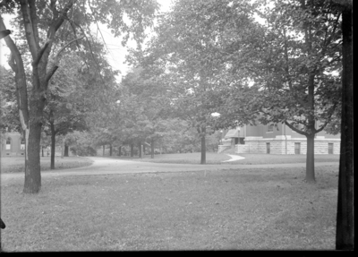 Tree-lined lane and buildings, presumed to be campus grounds