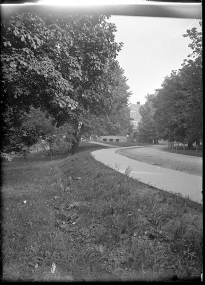 Lane with trees and building in background, presumed to be campus grounds