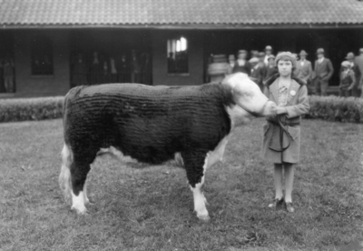 Bourbon Stock Yard in Louisville; young womAn with steer