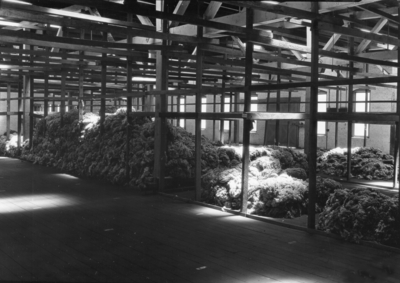 Wool in a warehouse