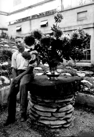 Man with Dahlias in planter