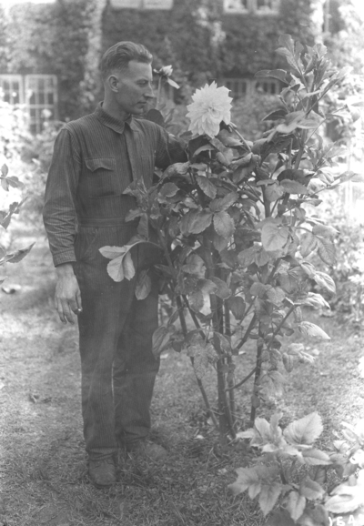 Man with Dahlias