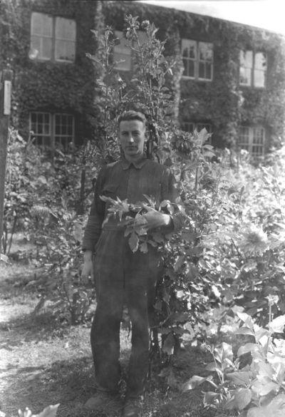 Man with Dahlias