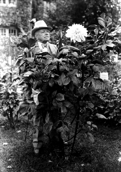 Dean F. Paul Anderson standing with the Dahlias