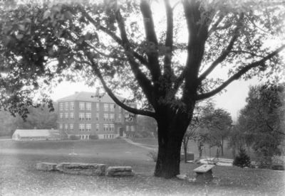 Mathews Building