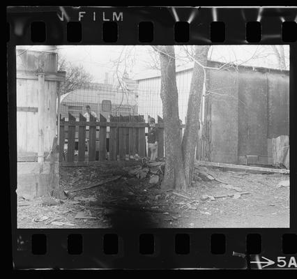 Child standing by fence