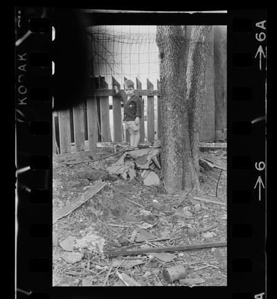 Child standing by fence