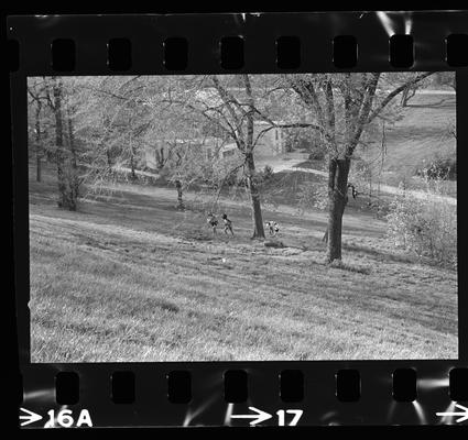 Group of children on a hillside