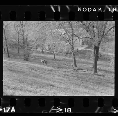 Group of children on a hillside