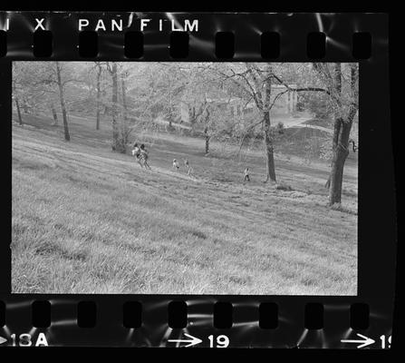 Group of children on a hillside