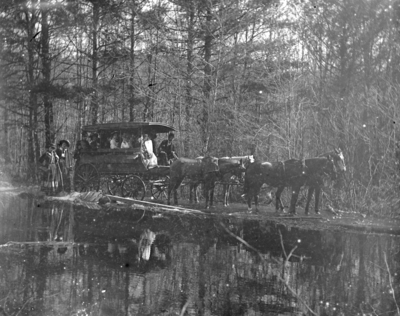 a large horse drawn carriage