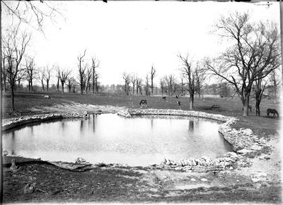A pond with horses;                          Bryan Station // Pike // Pond view handwritten on envelope
