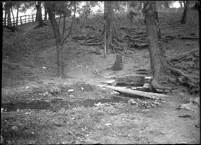 Picture of a spring taken in August;                          Clay Spring // Aug 5 PM. handwritten on envelope