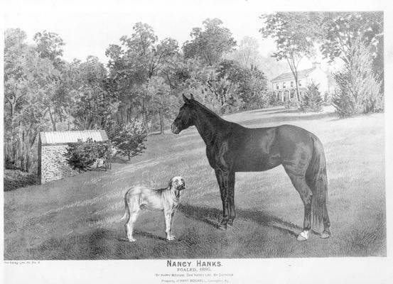 Portrait of dog and horse, Nancy Hanks, print quote, 