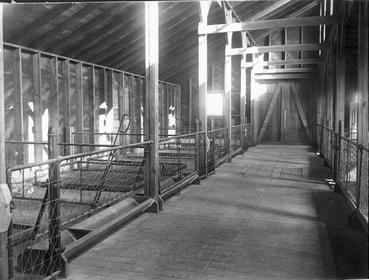 Interior of piggery