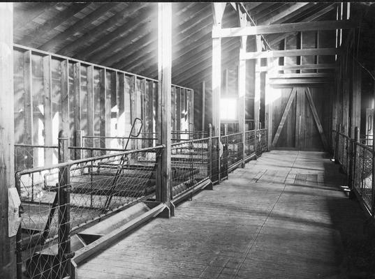 Interior of piggery